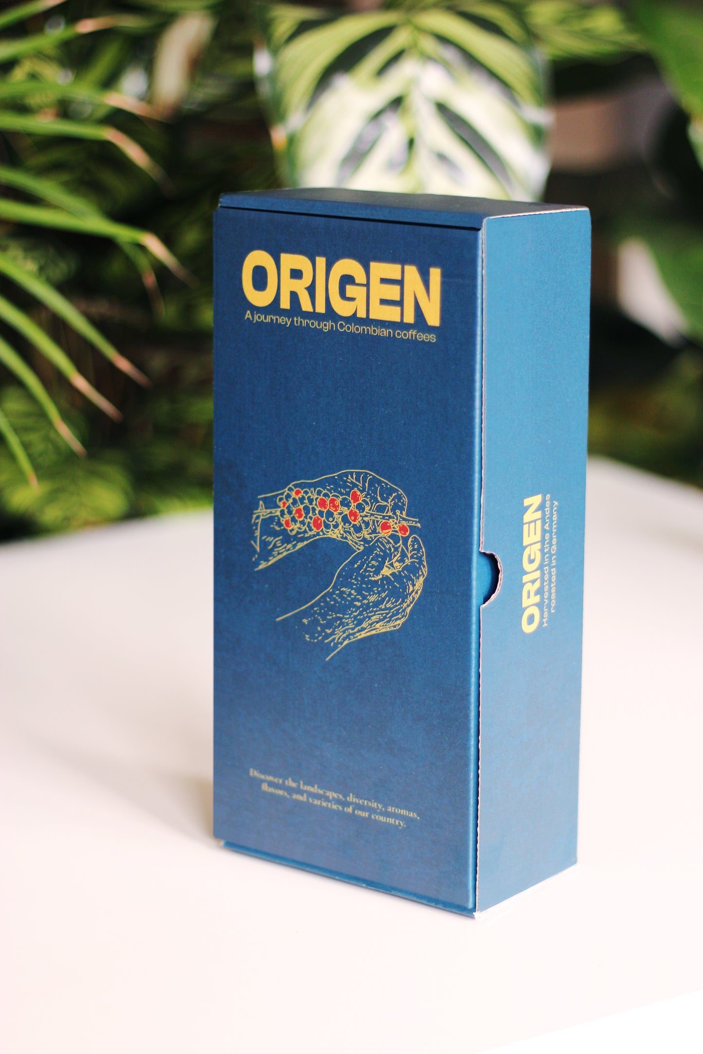 Origen - A Journey Through Colombian Coffees.